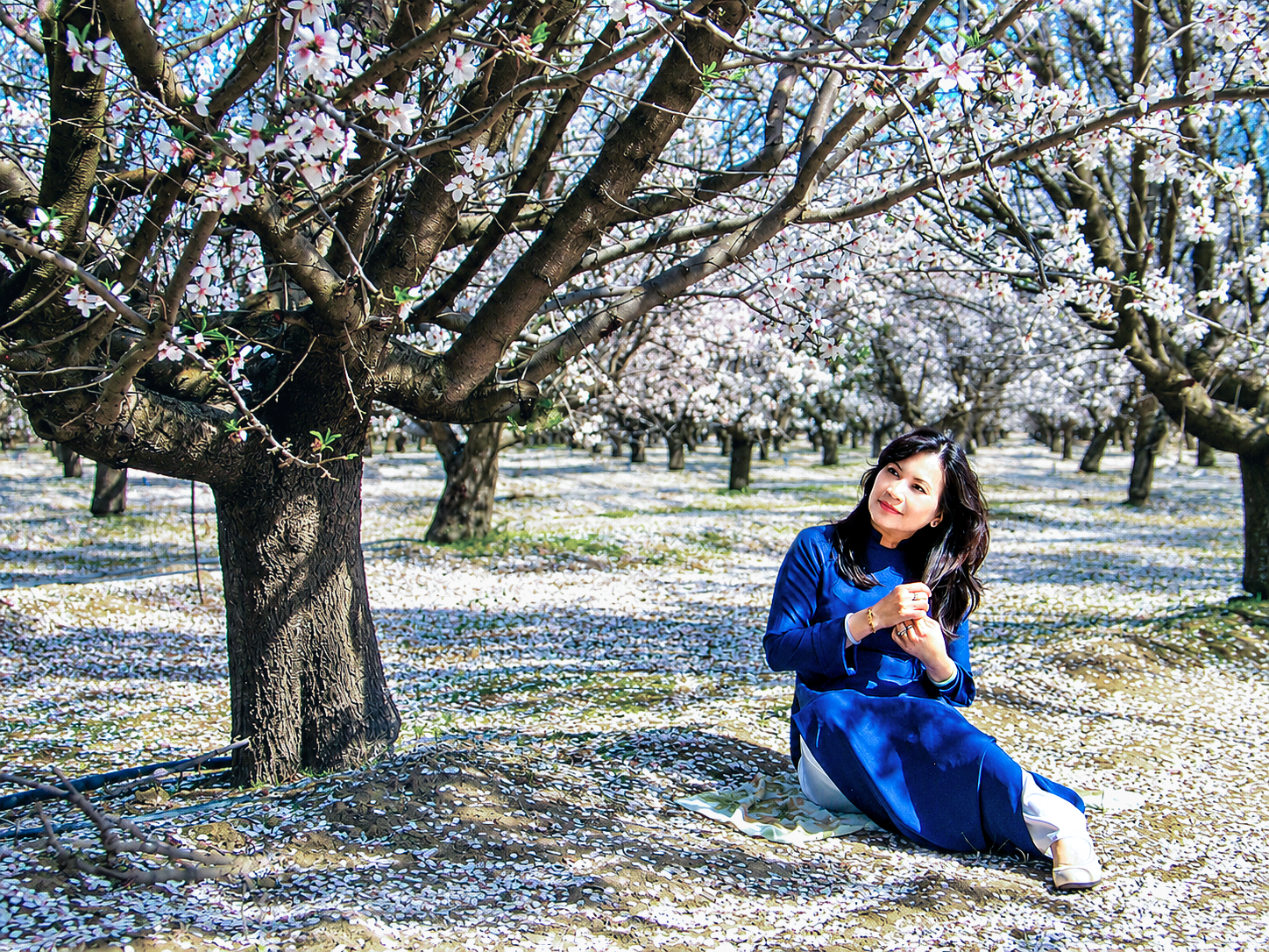Plum Blossom-2013 (26)